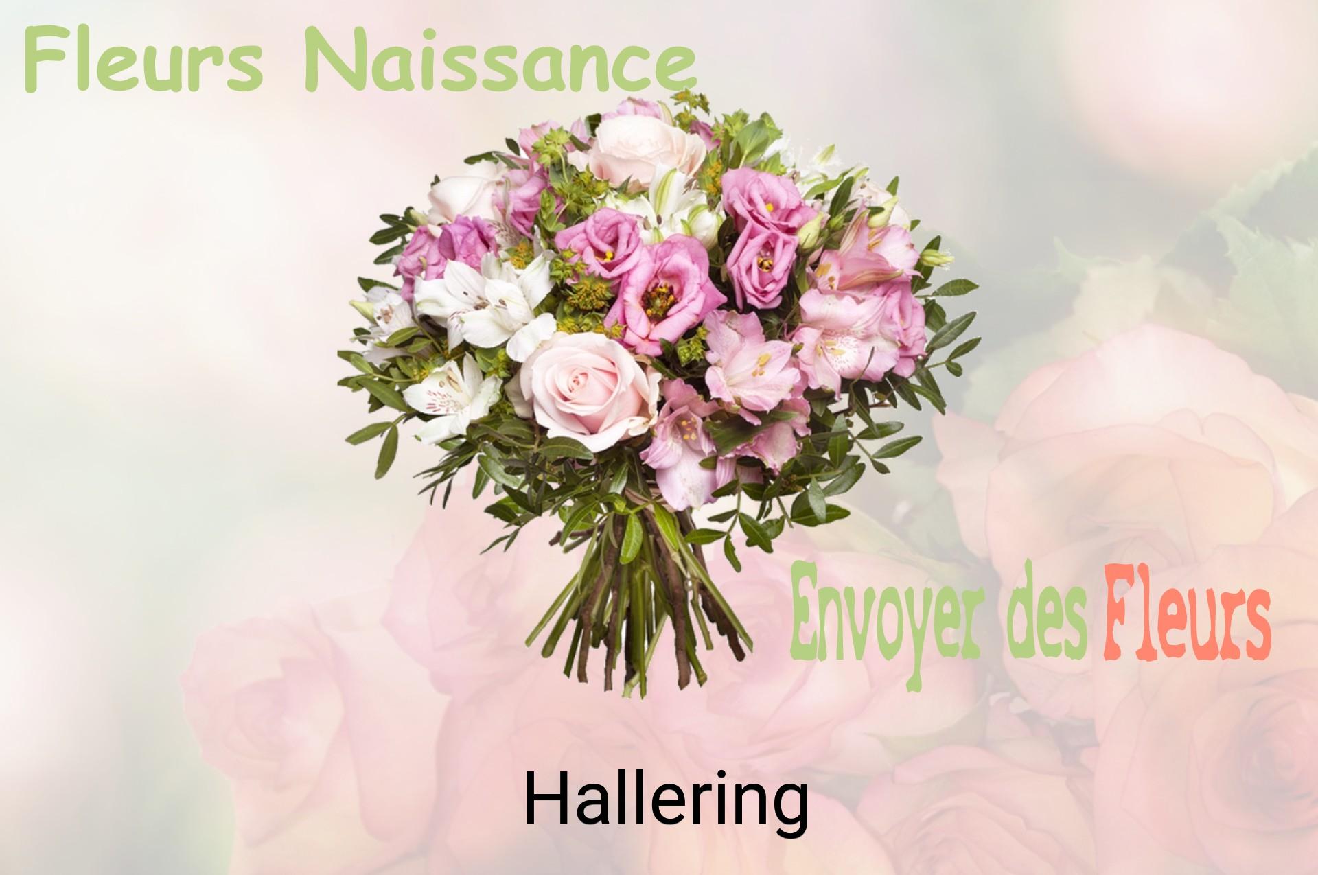 Bouquet de fleurs de naissance livré à Hallering
